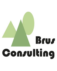 Brus Consulting