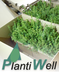 PlantiWell